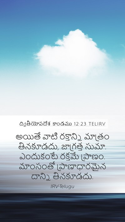 ద్వితీయోపదేశ కాండము 12:23 TELIRV Mobile Phone Wallpaper - అయితే వాటి - Mobile Bible Verse Wallpaper