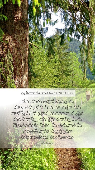 ద్వితీయోపదేశ కాండము 12:28 TELIRV Bible Verse Image