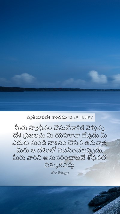 ద్వితీయోపదేశ కాండము 12:29 TELIRV Bible Verse Image