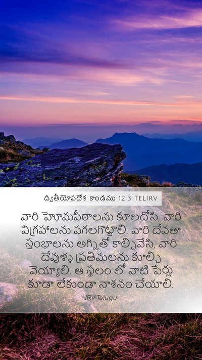 ద్వితీయోపదేశ కాండము 12:3 TELIRV Bible Verse Image