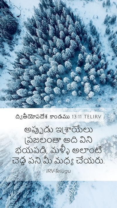 ద్వితీయోపదేశ కాండము 13:11 TELIRV Bible Verse Image