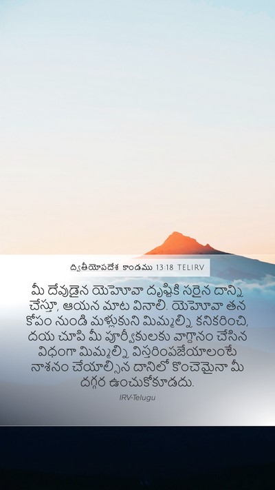 ద్వితీయోపదేశ కాండము 13:18 TELIRV Bible Verse Image