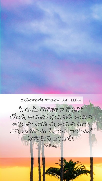 ద్వితీయోపదేశ కాండము 13:4 TELIRV Bible Verse Image