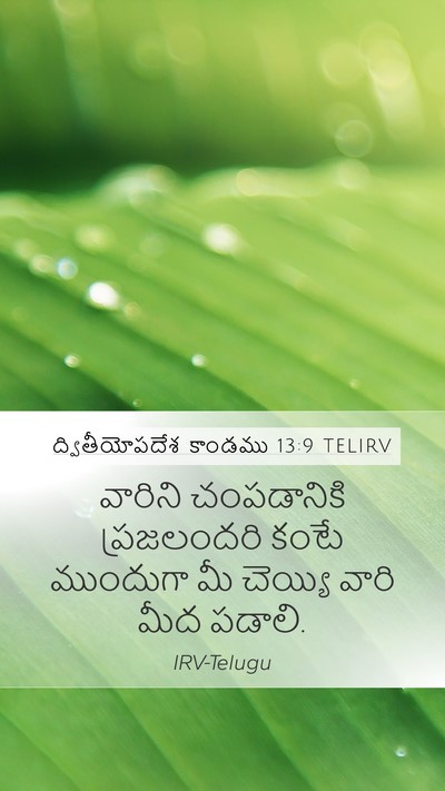 ద్వితీయోపదేశ కాండము 13:9 TELIRV Bible Verse Image