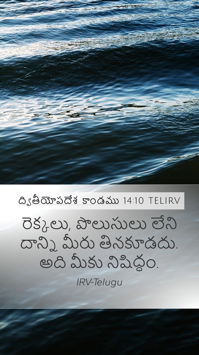 ద్వితీయోపదేశ కాండము 14:10 TELIRV Bible Verse Image