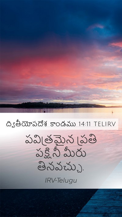 ద్వితీయోపదేశ కాండము 14:11 TELIRV Mobile Phone Wallpaper - పవిత్రమైన ప్రతి - Mobile Bible Verse Wallpaper