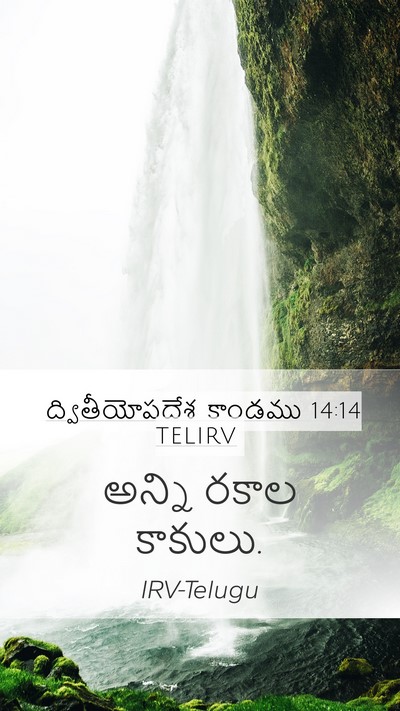 ద్వితీయోపదేశ కాండము 14:14 TELIRV Mobile Phone Wallpaper - అన్ని రకాల - Mobile Bible Verse Wallpaper
