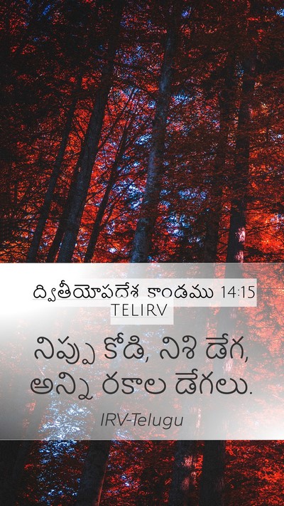 ద్వితీయోపదేశ కాండము 14:15 TELIRV Mobile Phone Wallpaper - నిప్పు కోడి, నిశి - Mobile Bible Verse Wallpaper