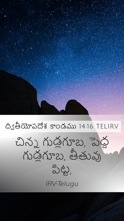 ద్వితీయోపదేశ కాండము 14:16 TELIRV Mobile Phone Wallpaper - చిన్న గుడ్లగూబ, - Mobile Bible Verse Wallpaper