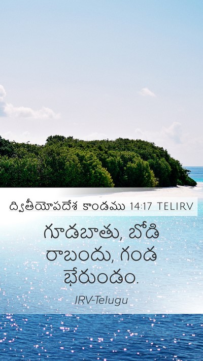 ద్వితీయోపదేశ కాండము 14:17 TELIRV Mobile Phone Wallpaper - గూడబాతు, బోడి - Mobile Bible Verse Wallpaper
