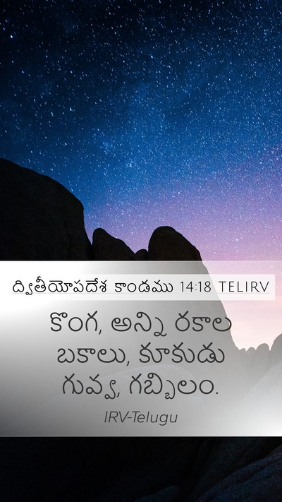 ద్వితీయోపదేశ కాండము 14:18 TELIRV Mobile Phone Wallpaper - కొంగ, అన్ని రకాల - Mobile Bible Verse Wallpaper