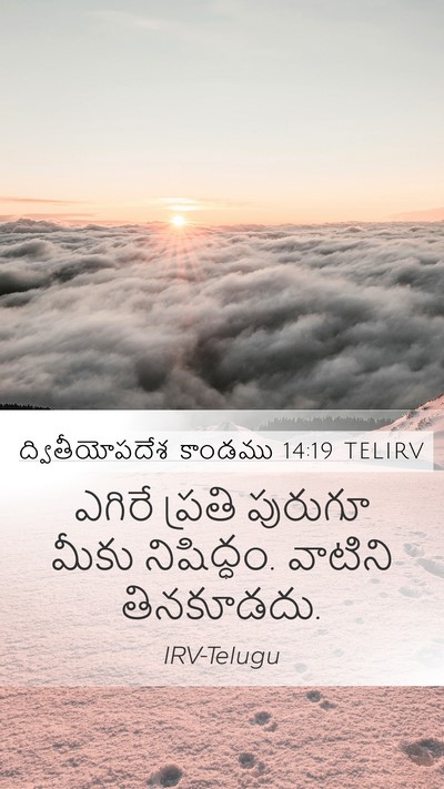 ద్వితీయోపదేశ కాండము 14:19 TELIRV Bible Verse Image