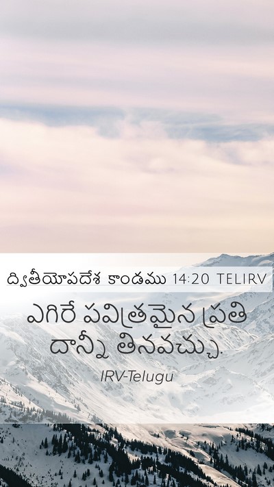 ద్వితీయోపదేశ కాండము 14:20 TELIRV Mobile Phone Wallpaper - ఎగిరే పవిత్రమైన - Mobile Bible Verse Wallpaper