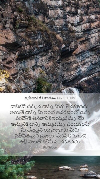 ద్వితీయోపదేశ కాండము 14:21 TELIRV Bible Verse Image