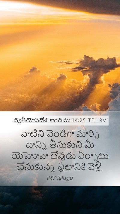 ద్వితీయోపదేశ కాండము 14:25 TELIRV Bible Verse Image
