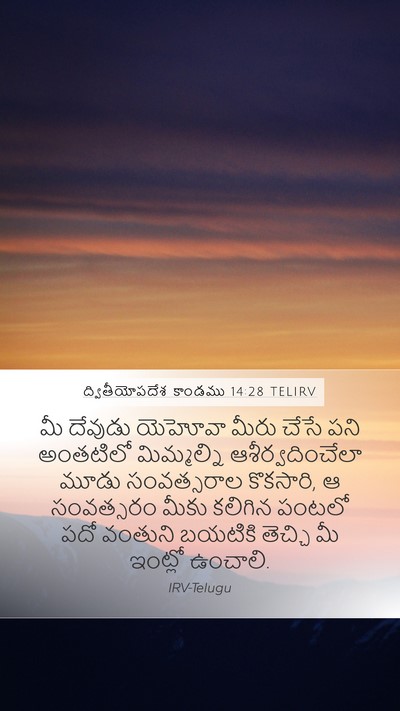 ద్వితీయోపదేశ కాండము 14:28 TELIRV Bible Verse Image