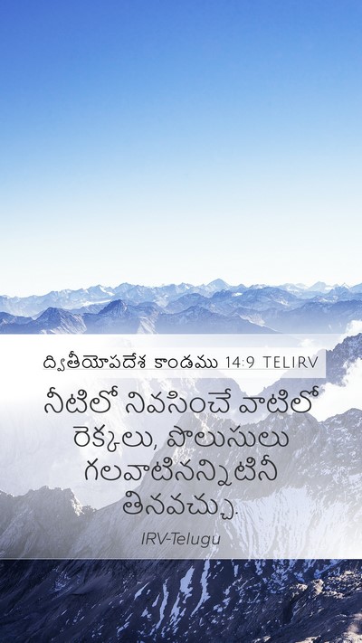 ద్వితీయోపదేశ కాండము 14:9 TELIRV Mobile Phone Wallpaper - నీటిలో నివసించే - Mobile Bible Verse Wallpaper