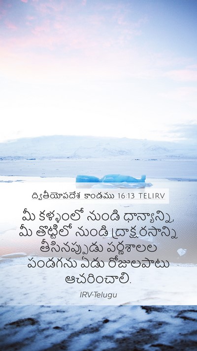 ద్వితీయోపదేశ కాండము 16:13 TELIRV Bible Verse Image