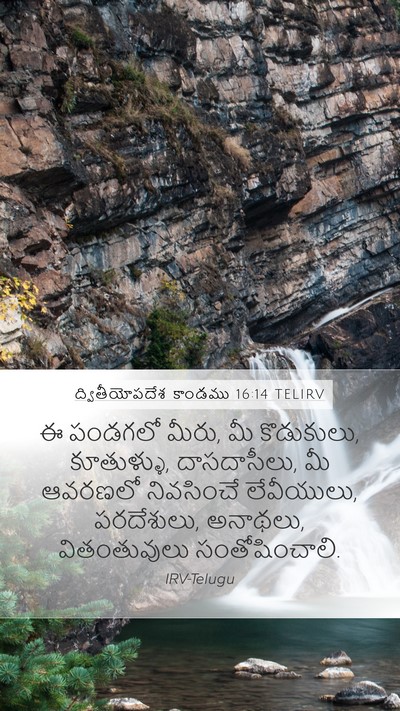 ద్వితీయోపదేశ కాండము 16:14 TELIRV Bible Verse Image