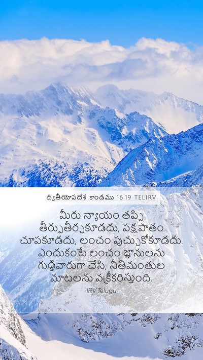 ద్వితీయోపదేశ కాండము 16:19 TELIRV Bible Verse Image