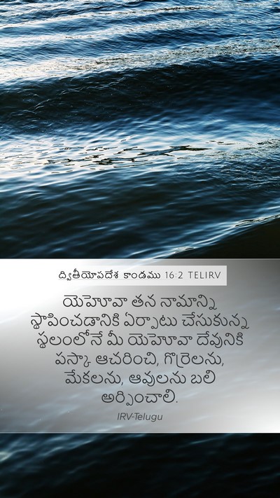 ద్వితీయోపదేశ కాండము 16:2 TELIRV Bible Verse Image