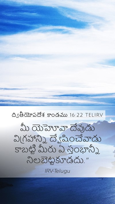 ద్వితీయోపదేశ కాండము 16:22 TELIRV Bible Verse Image