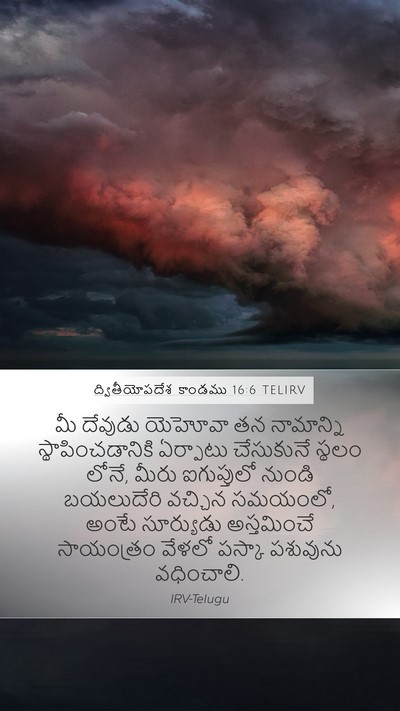 ద్వితీయోపదేశ కాండము 16:6 TELIRV Bible Verse Image