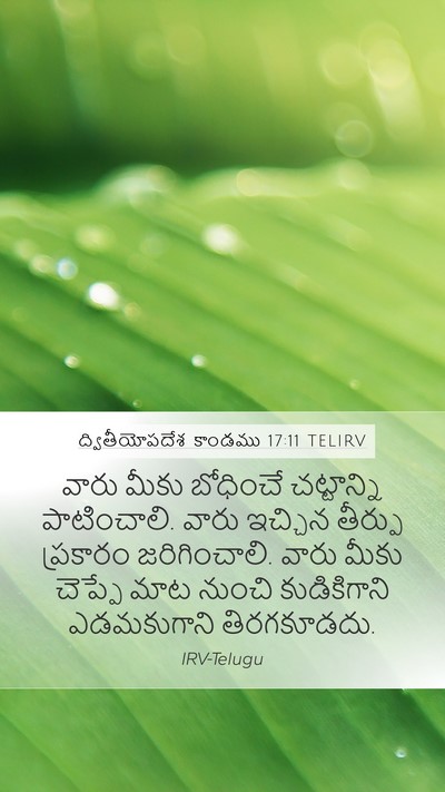 ద్వితీయోపదేశ కాండము 17:11 TELIRV Mobile Phone Wallpaper - వారు మీకు బోధించే - Mobile Bible Verse Wallpaper