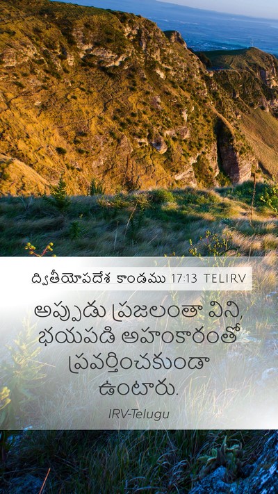 ద్వితీయోపదేశ కాండము 17:13 TELIRV Mobile Phone Wallpaper - అప్పుడు ప్రజలంతా - Mobile Bible Verse Wallpaper