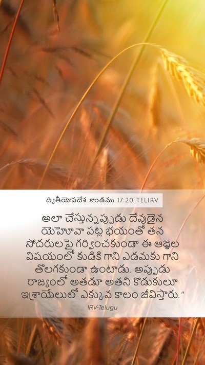 ద్వితీయోపదేశ కాండము 17:20 TELIRV Bible Verse Image