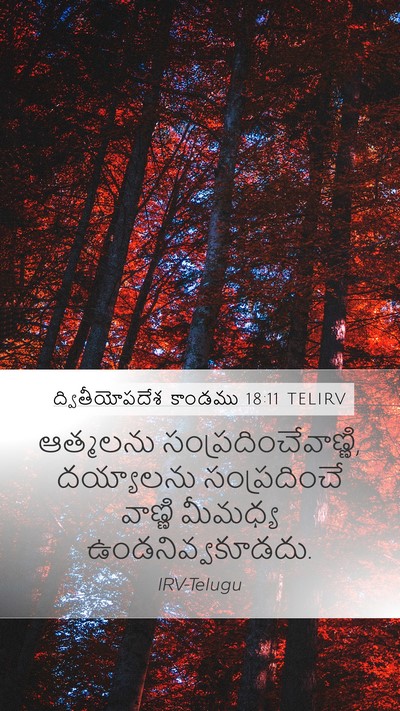 ద్వితీయోపదేశ కాండము 18:11 TELIRV Bible Verse Image