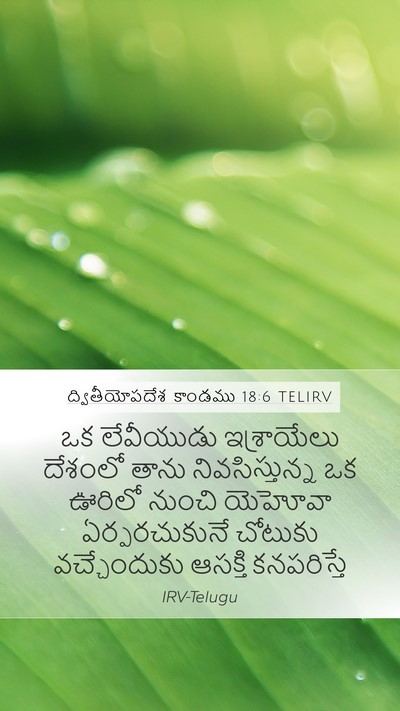 ద్వితీయోపదేశ కాండము 18:6 TELIRV Mobile Phone Wallpaper - ఒక లేవీయుడు - Mobile Bible Verse Wallpaper