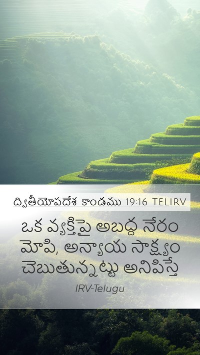 ద్వితీయోపదేశ కాండము 19:16 TELIRV Bible Verse Image