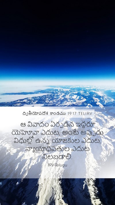 ద్వితీయోపదేశ కాండము 19:17 TELIRV Bible Verse Image