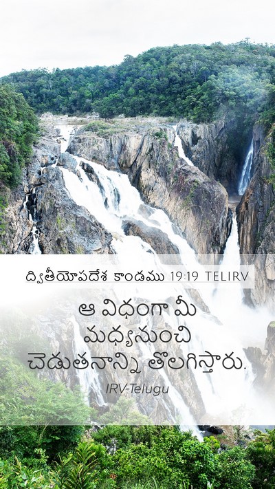 ద్వితీయోపదేశ కాండము 19:19 TELIRV Bible Verse Image
