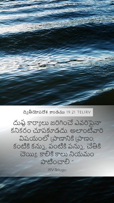 ద్వితీయోపదేశ కాండము 19:21 TELIRV Bible Verse Image