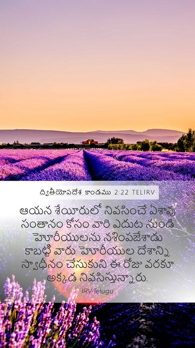 ద్వితీయోపదేశ కాండము 2:22 TELIRV Bible Verse Image