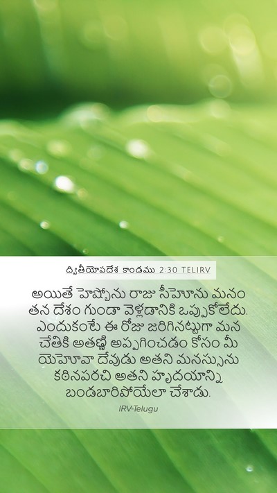 ద్వితీయోపదేశ కాండము 2:30 TELIRV Bible Verse Image