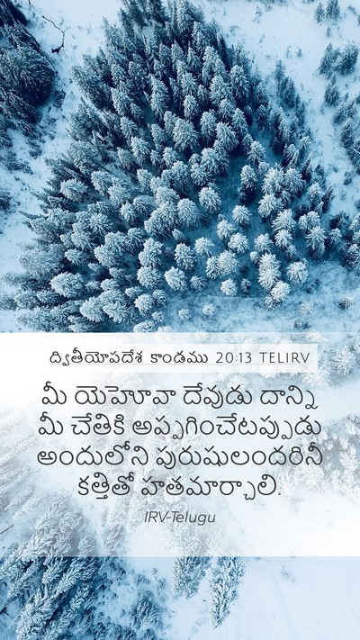 ద్వితీయోపదేశ కాండము 20:13 TELIRV Bible Verse Image