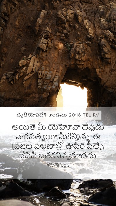 ద్వితీయోపదేశ కాండము 20:16 TELIRV Bible Verse Image