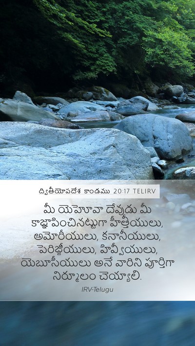 ద్వితీయోపదేశ కాండము 20:17 TELIRV Bible Verse Image