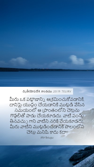 ద్వితీయోపదేశ కాండము 20:19 TELIRV Bible Verse Image