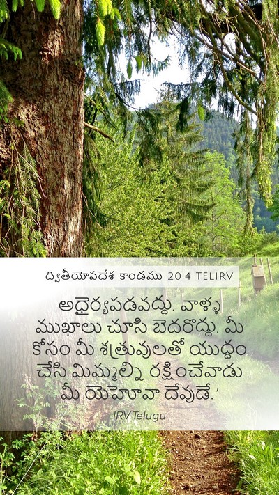 ద్వితీయోపదేశ కాండము 20:4 TELIRV Bible Verse Image
