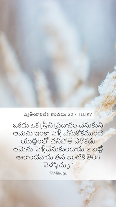 ద్వితీయోపదేశ కాండము 20:7 TELIRV Mobile Phone Wallpaper - ఒకడు ఒక స్త్రీని - Mobile Bible Verse Wallpaper
