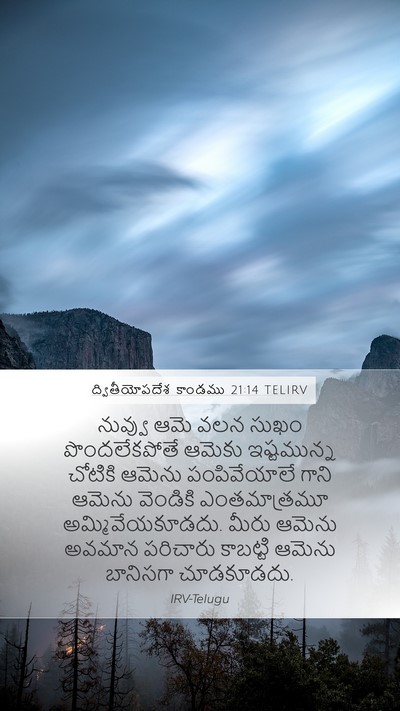 ద్వితీయోపదేశ కాండము 21:14 TELIRV Bible Verse Image