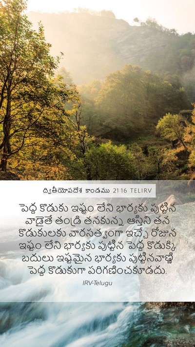 ద్వితీయోపదేశ కాండము 21:16 TELIRV Bible Verse Image