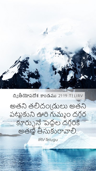 ద్వితీయోపదేశ కాండము 21:19 TELIRV Bible Verse Image