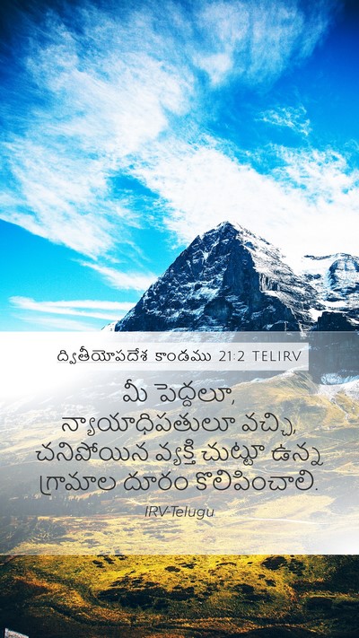 ద్వితీయోపదేశ కాండము 21:2 TELIRV Bible Verse Image