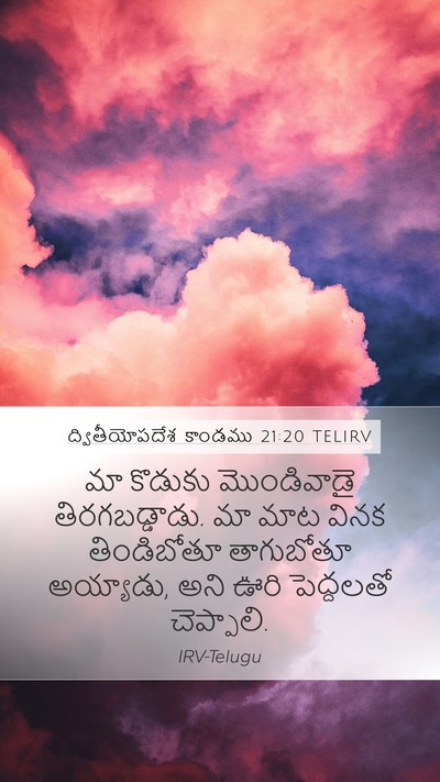 ద్వితీయోపదేశ కాండము 21:20 TELIRV Mobile Phone Wallpaper - మా కొడుకు - Mobile Bible Verse Wallpaper