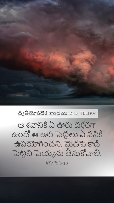 ద్వితీయోపదేశ కాండము 21:3 TELIRV Bible Verse Image